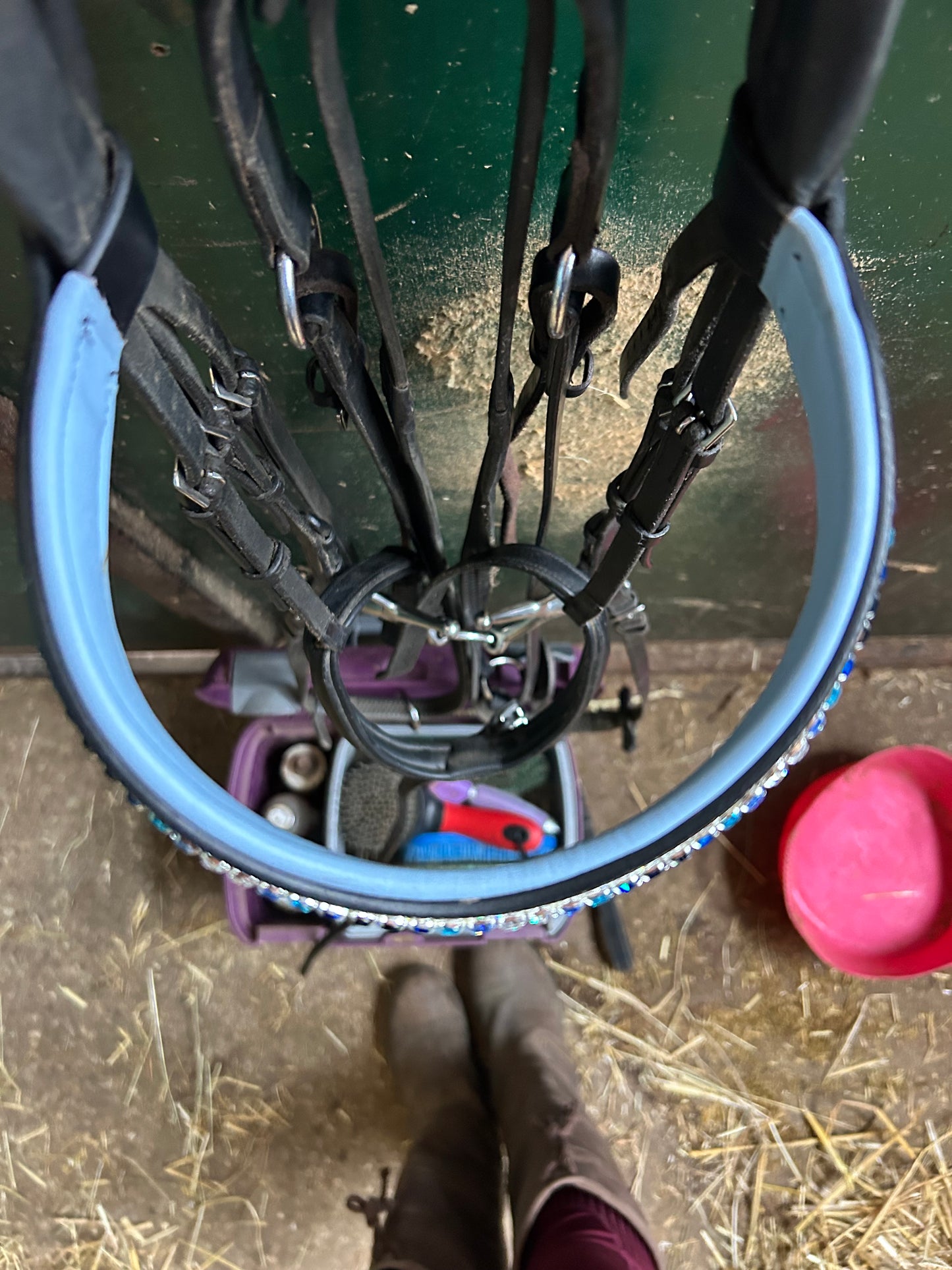 Baby blue padded browband