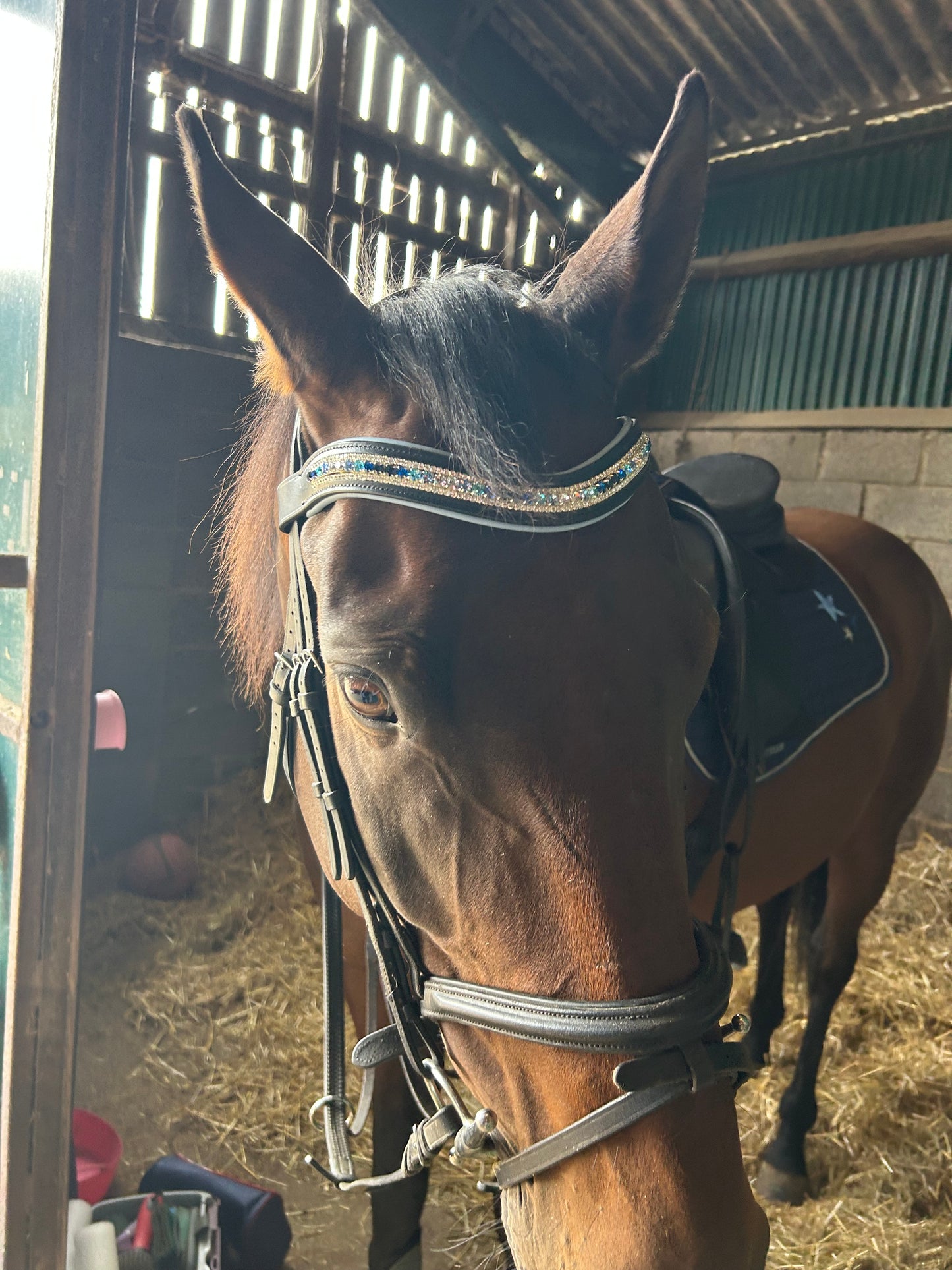 Baby blue padded browband