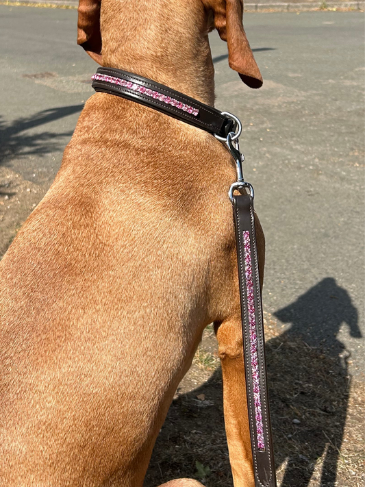 Crystal dog lead