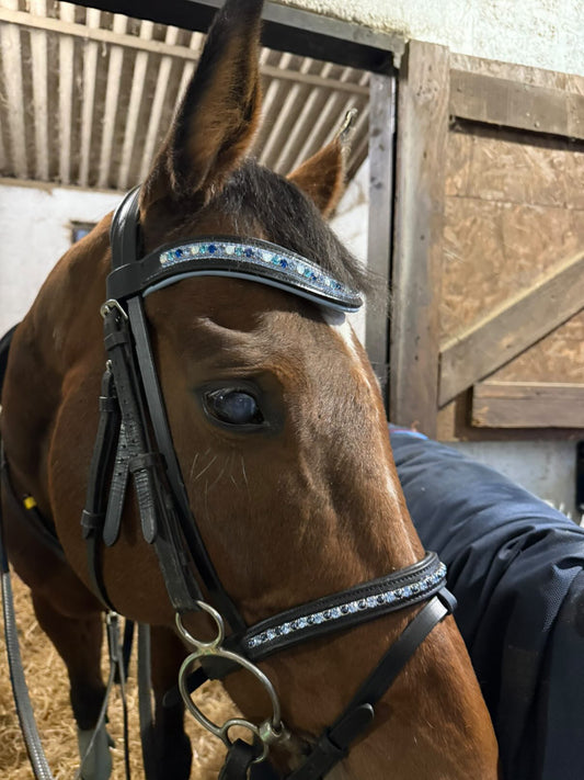 Twinkly flash noseband