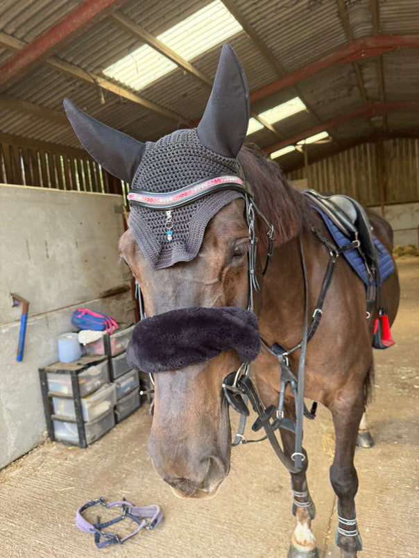 Ombré diamond decadence browband