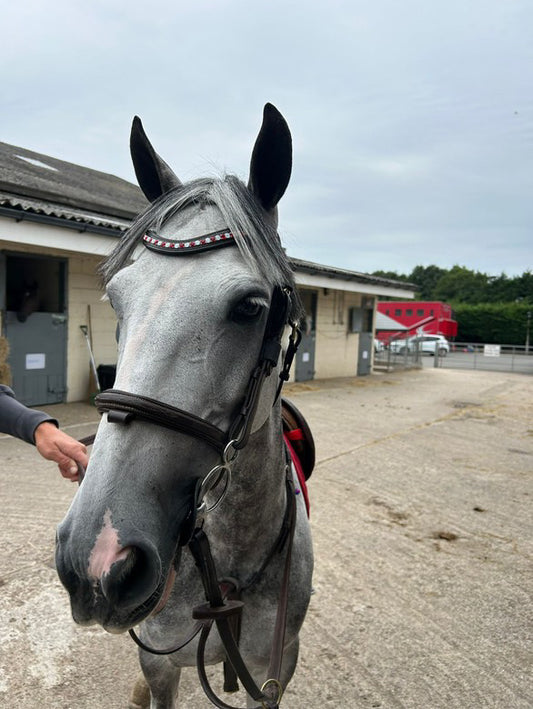 Double alternating browband